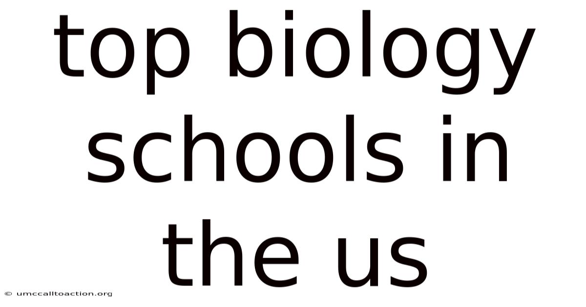 Top Biology Schools In The Us