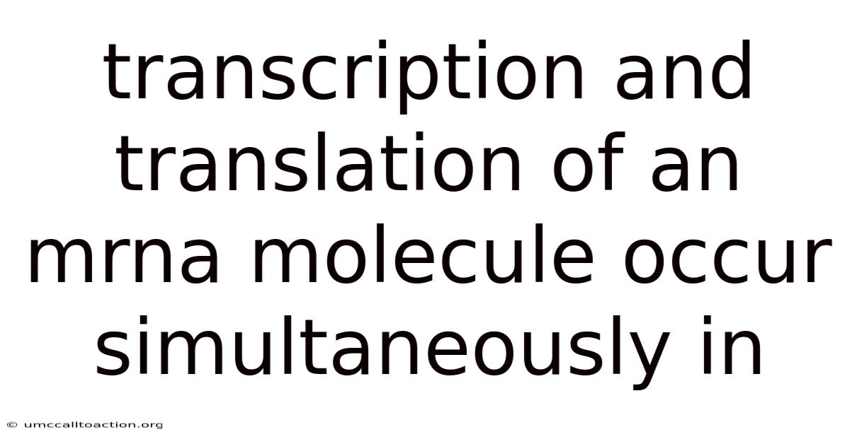 Transcription And Translation Of An Mrna Molecule Occur Simultaneously In