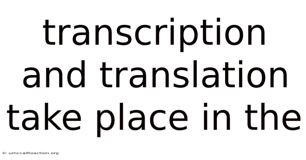 Transcription And Translation Take Place In The