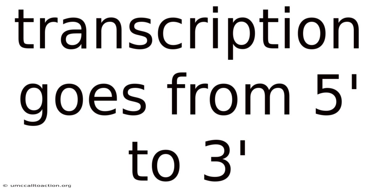 Transcription Goes From 5' To 3'