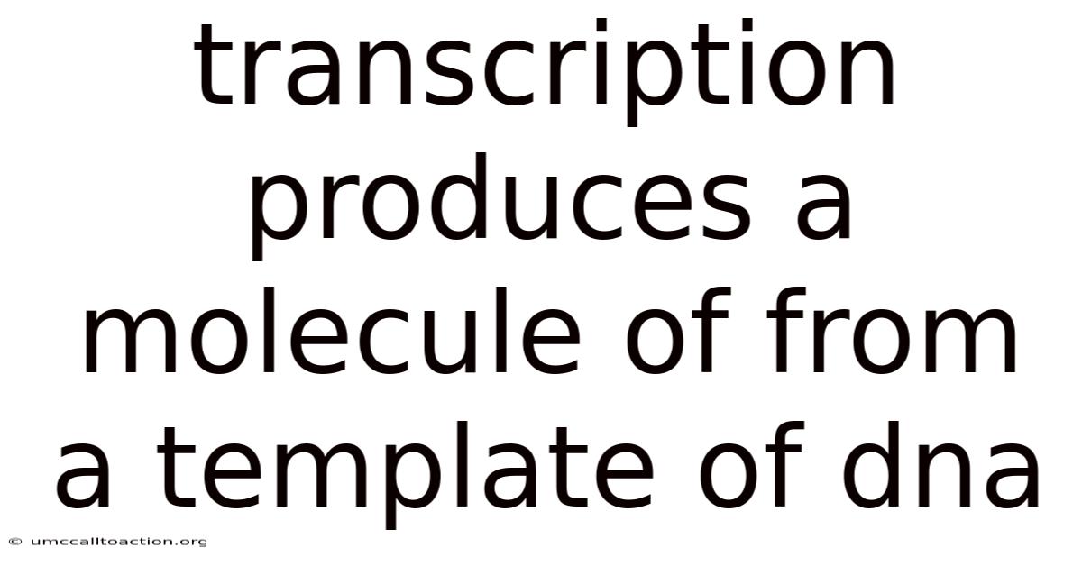 Transcription Produces A Molecule Of From A Template Of Dna