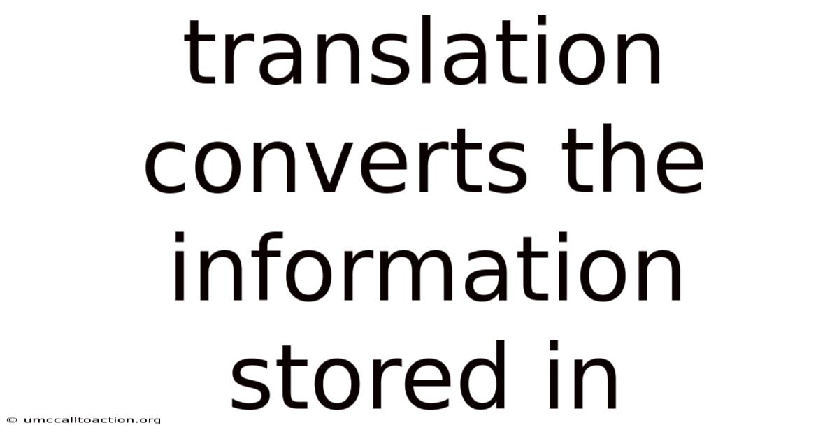 Translation Converts The Information Stored In