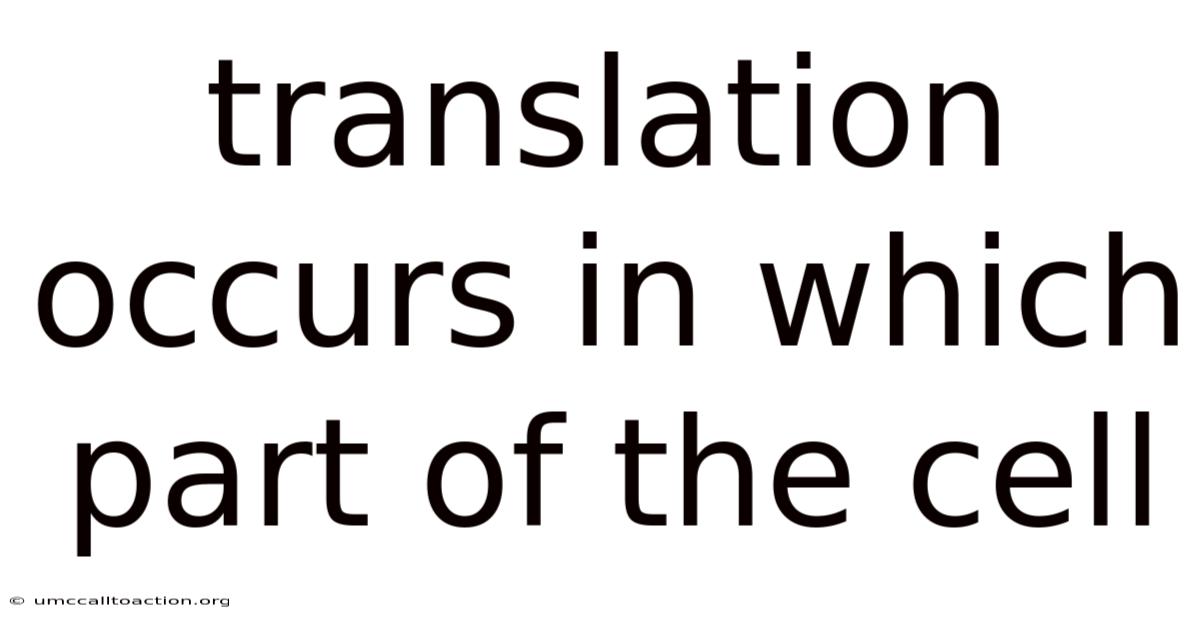 Translation Occurs In Which Part Of The Cell