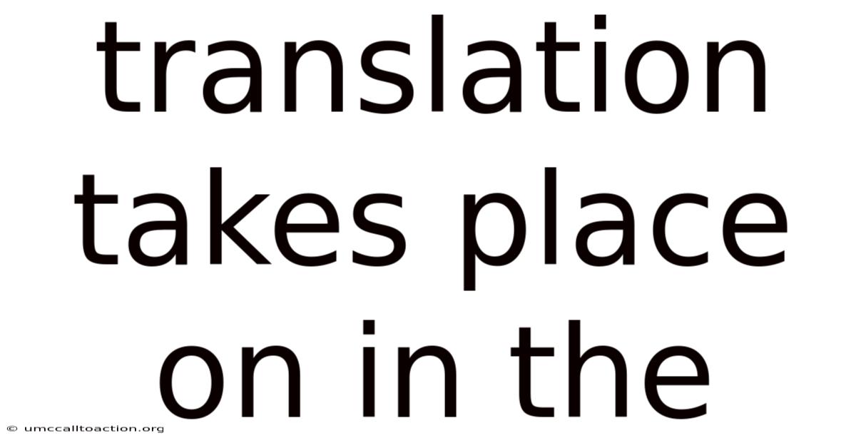 Translation Takes Place On In The