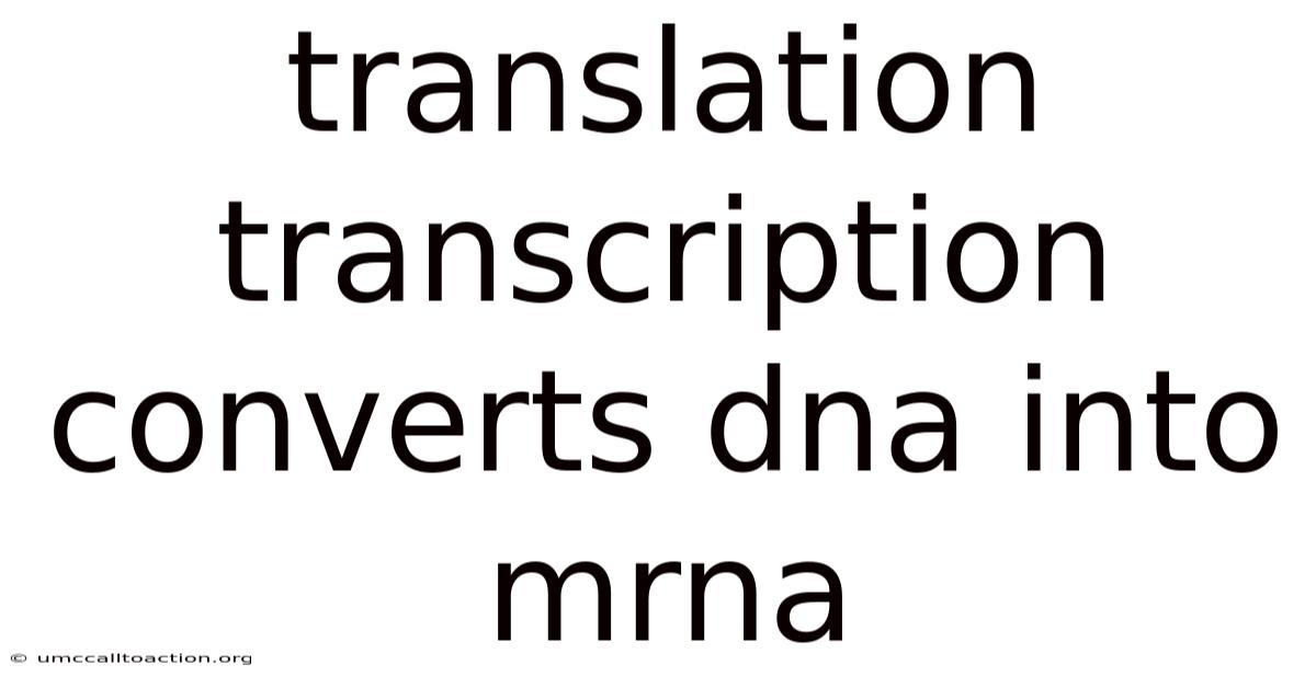 Translation Transcription Converts Dna Into Mrna