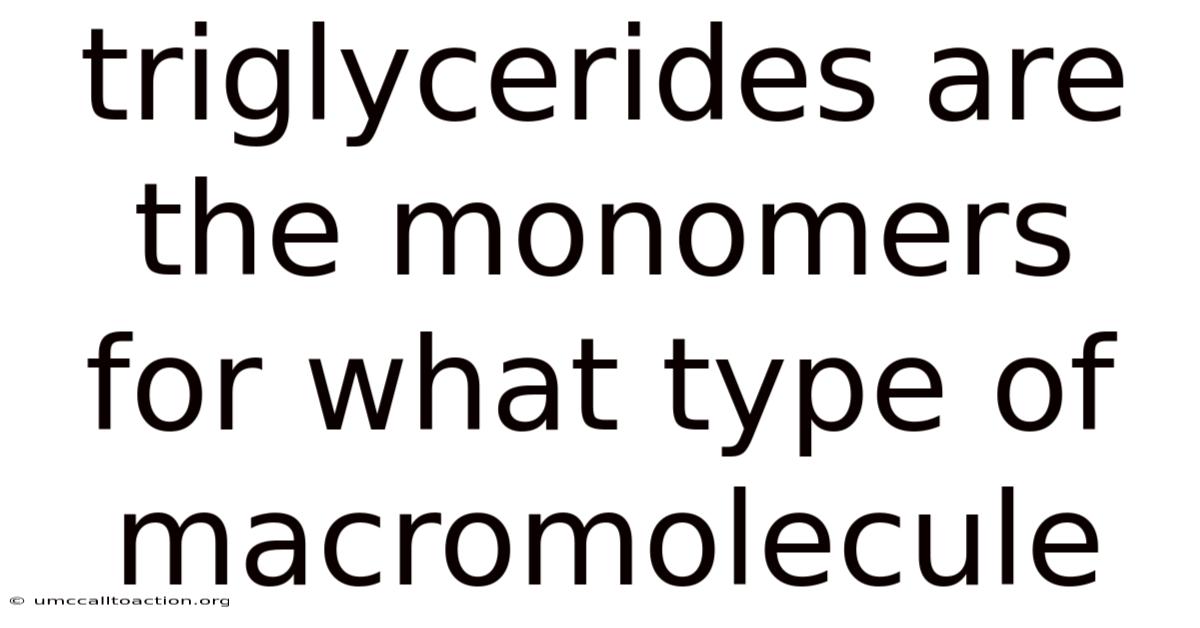 Triglycerides Are The Monomers For What Type Of Macromolecule