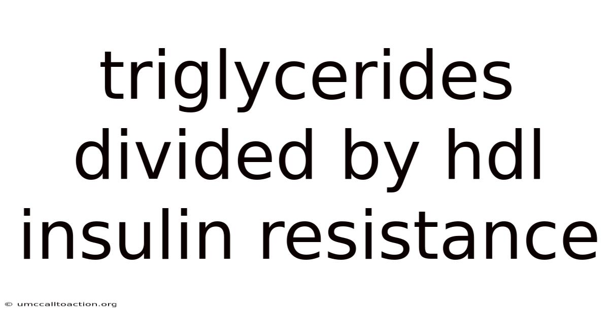 Triglycerides Divided By Hdl Insulin Resistance