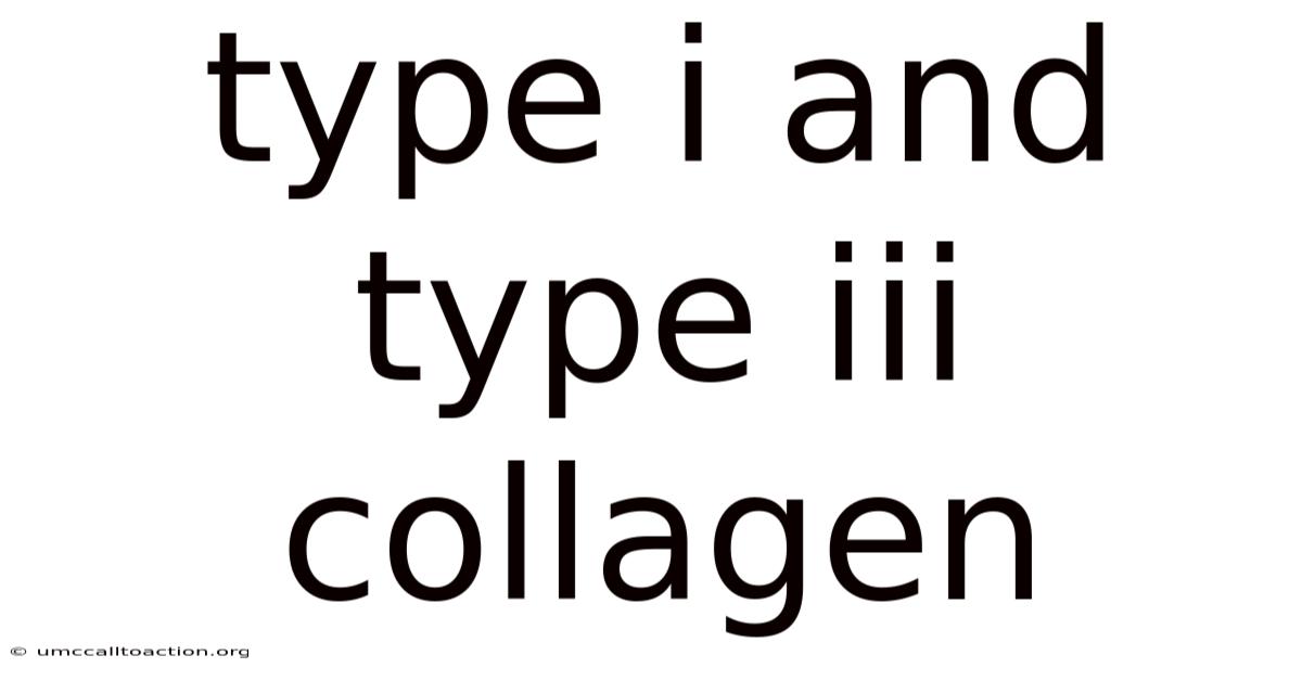 Type I And Type Iii Collagen
