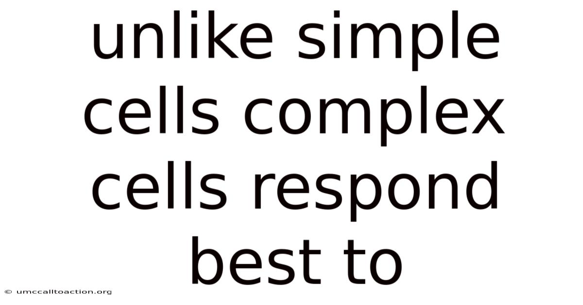 Unlike Simple Cells Complex Cells Respond Best To