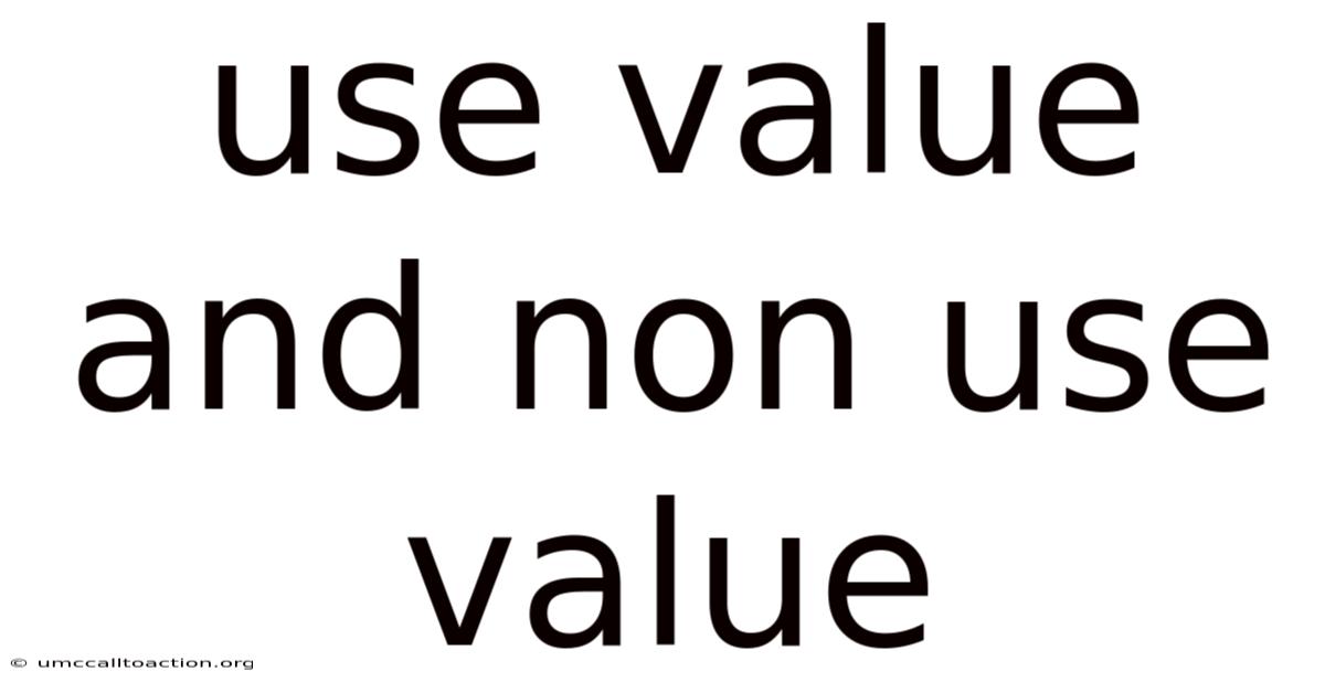 Use Value And Non Use Value