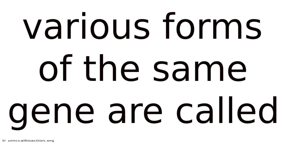 Various Forms Of The Same Gene Are Called