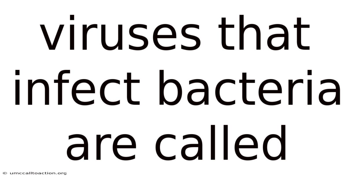 Viruses That Infect Bacteria Are Called
