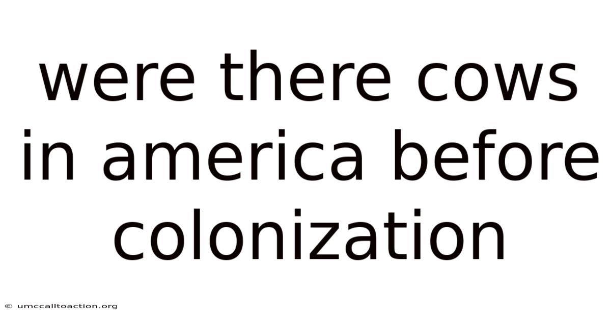 Were There Cows In America Before Colonization