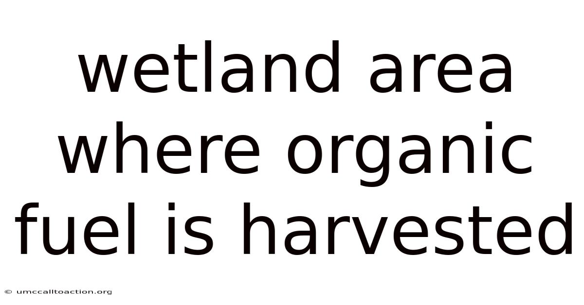 Wetland Area Where Organic Fuel Is Harvested