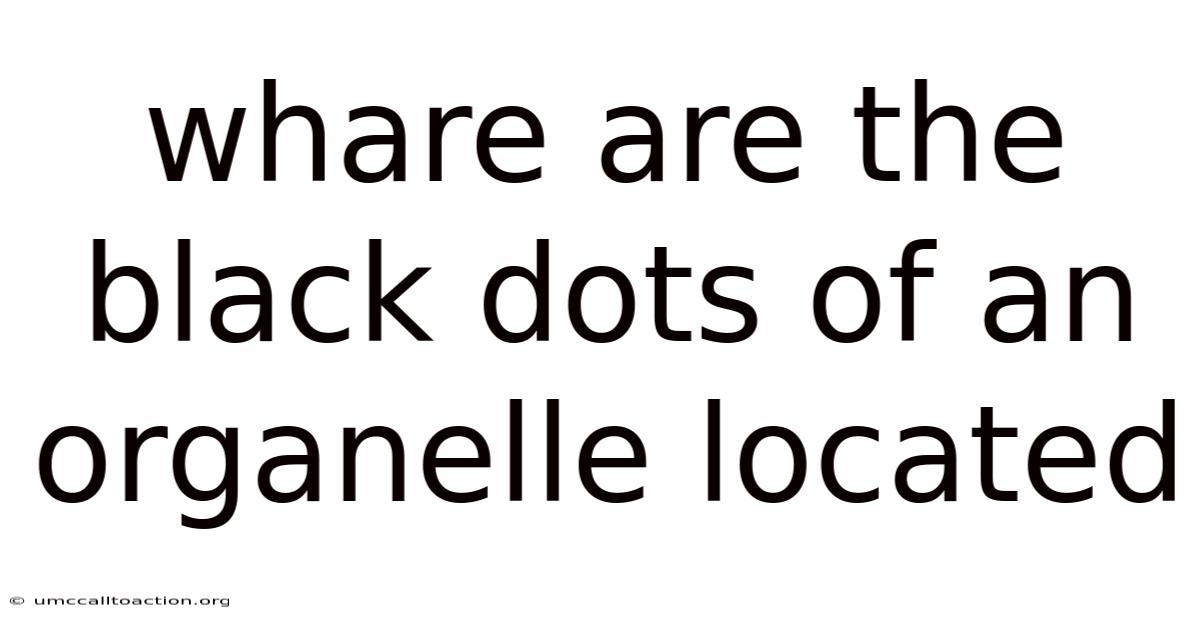 Whare Are The Black Dots Of An Organelle Located