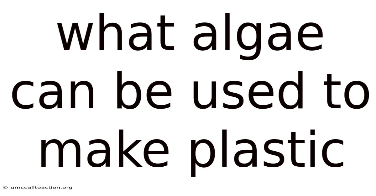 What Algae Can Be Used To Make Plastic