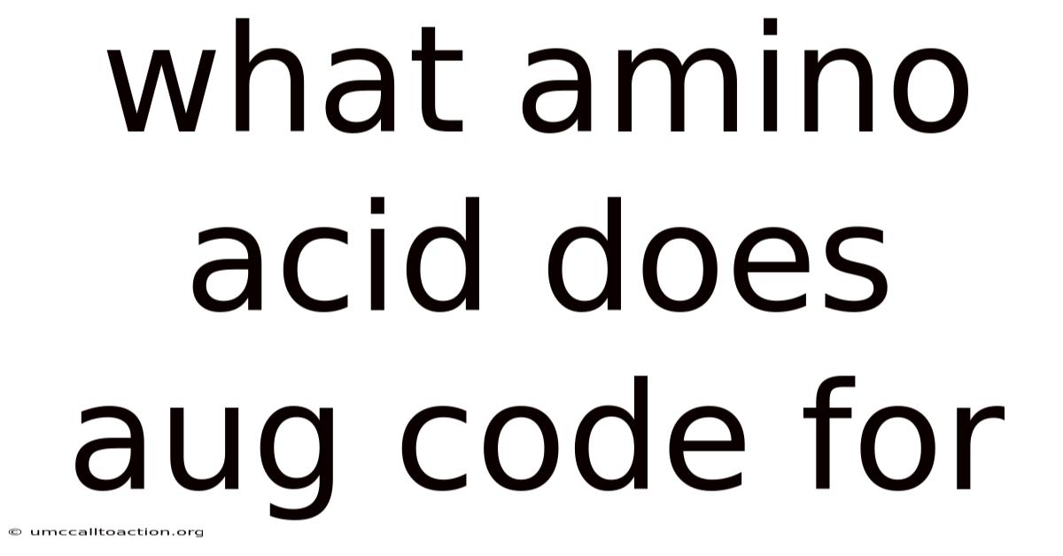 What Amino Acid Does Aug Code For