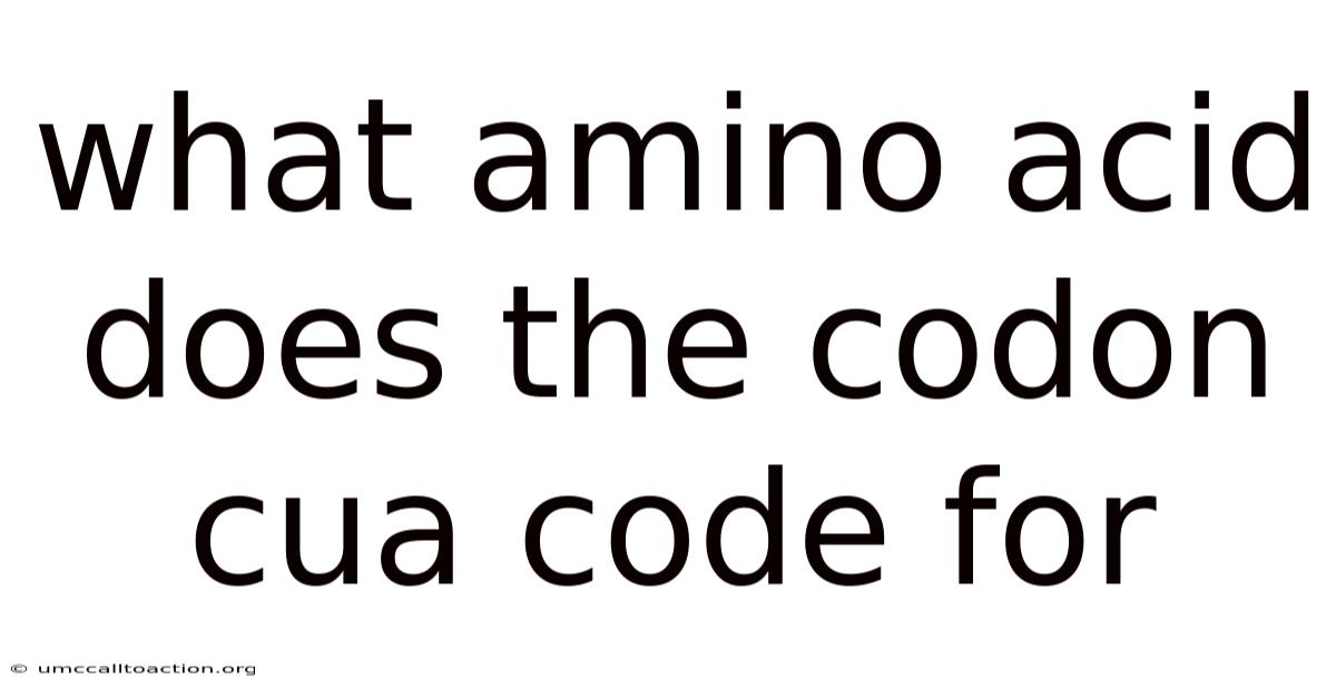 What Amino Acid Does The Codon Cua Code For