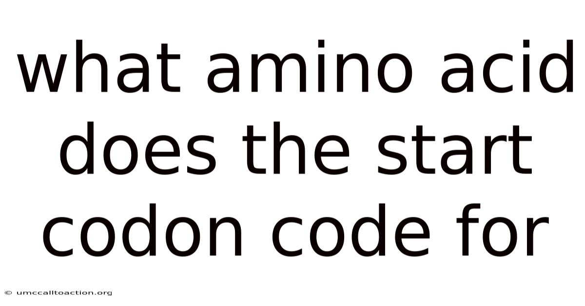 What Amino Acid Does The Start Codon Code For
