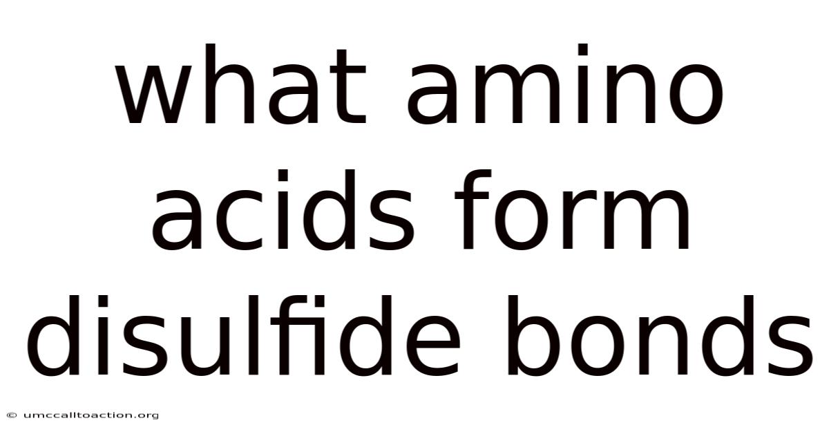 What Amino Acids Form Disulfide Bonds
