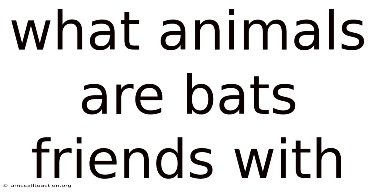 What Animals Are Bats Friends With