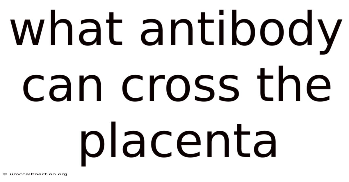 What Antibody Can Cross The Placenta