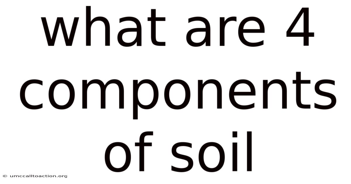 What Are 4 Components Of Soil