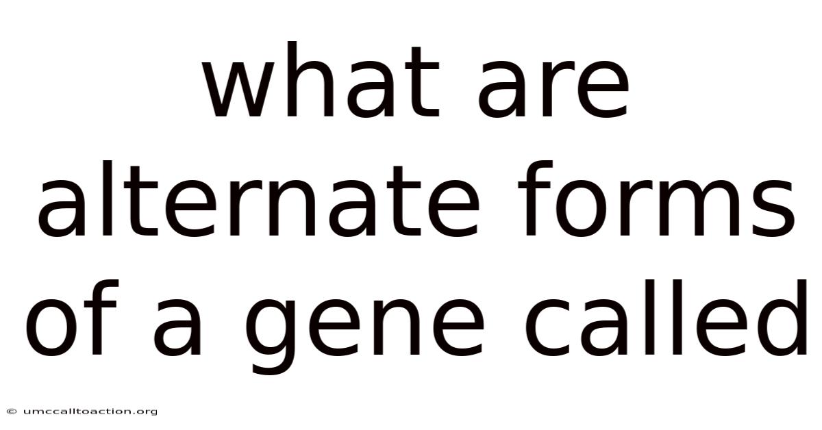 What Are Alternate Forms Of A Gene Called