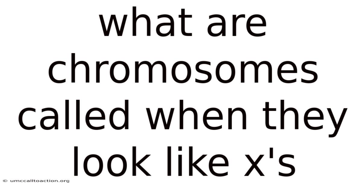 What Are Chromosomes Called When They Look Like X's