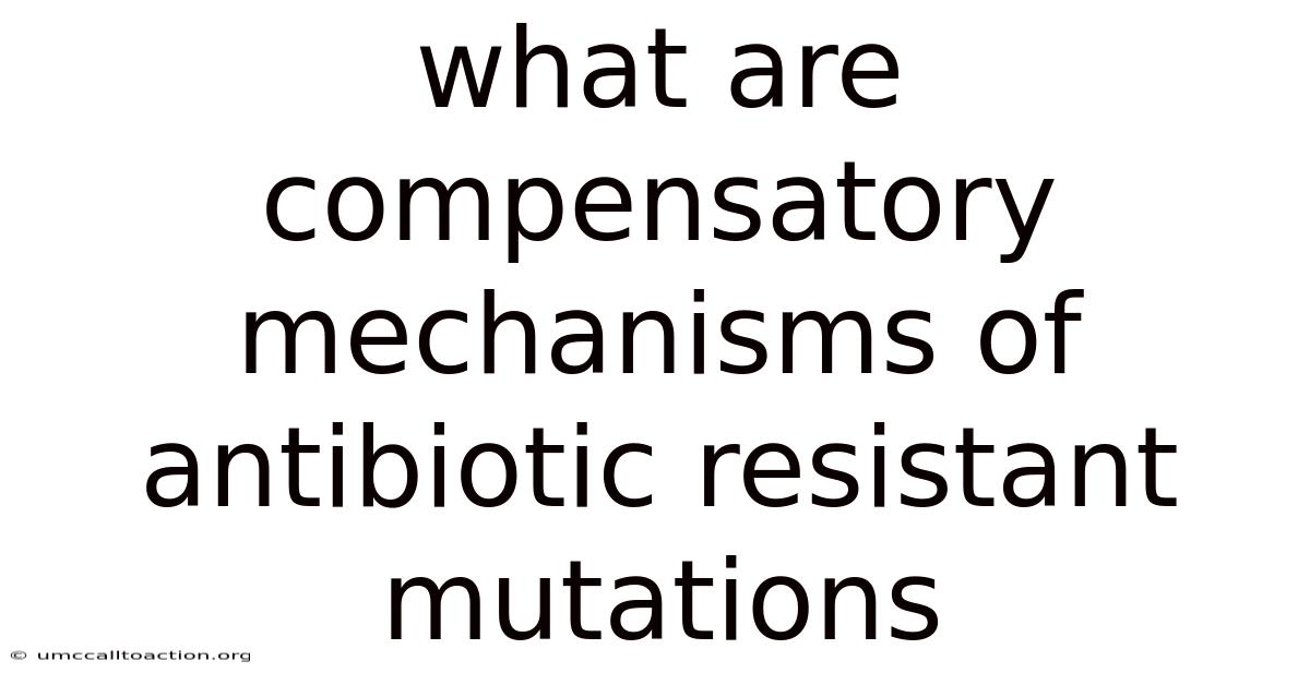 What Are Compensatory Mechanisms Of Antibiotic Resistant Mutations