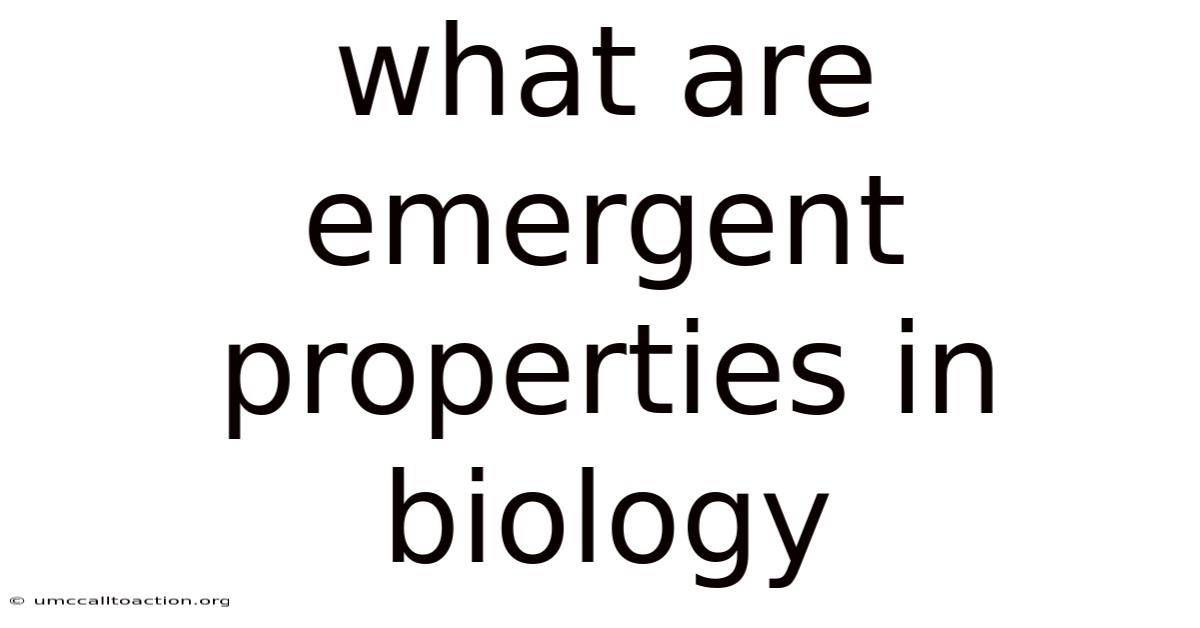 What Are Emergent Properties In Biology