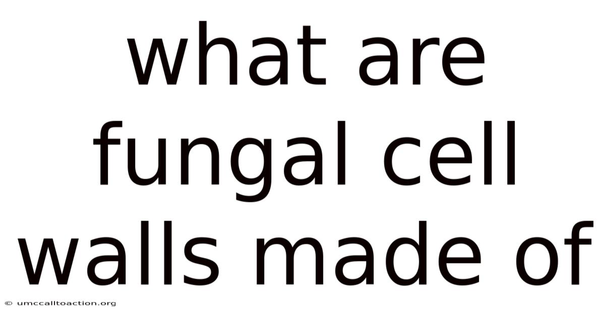 What Are Fungal Cell Walls Made Of