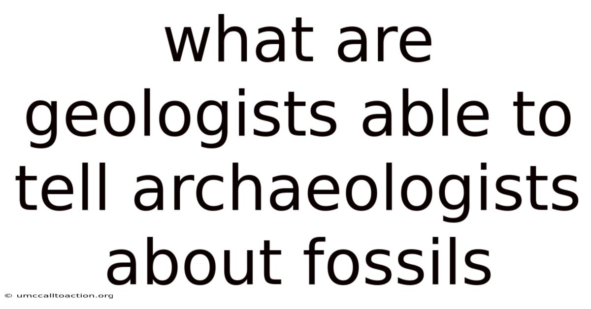What Are Geologists Able To Tell Archaeologists About Fossils