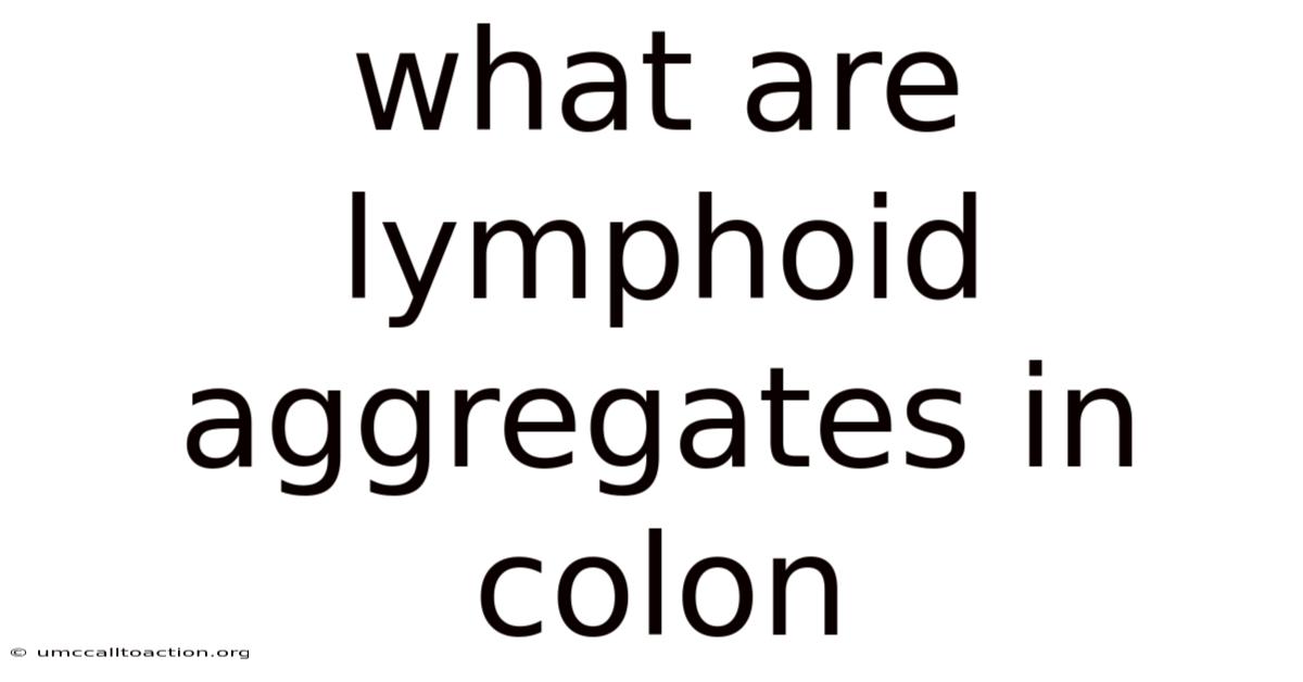 What Are Lymphoid Aggregates In Colon