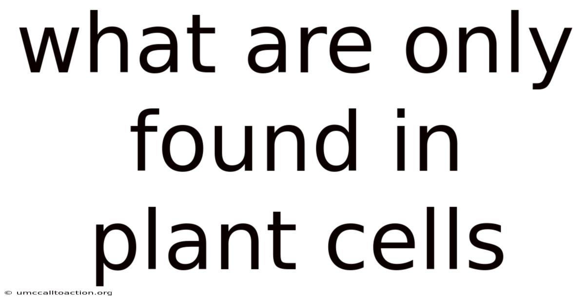 What Are Only Found In Plant Cells
