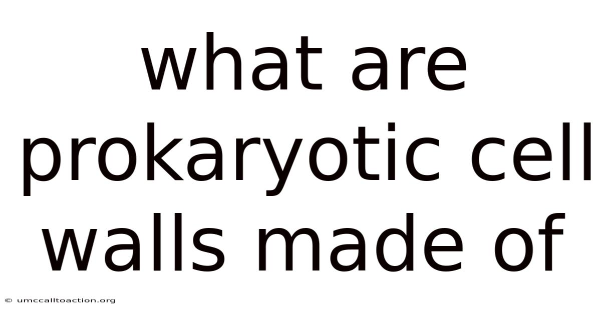 What Are Prokaryotic Cell Walls Made Of