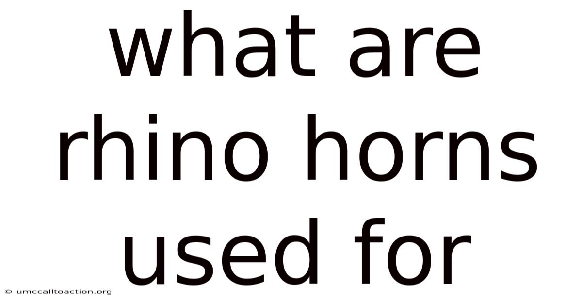 What Are Rhino Horns Used For
