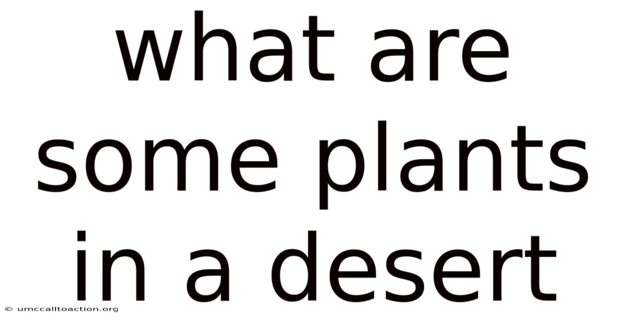 What Are Some Plants In A Desert