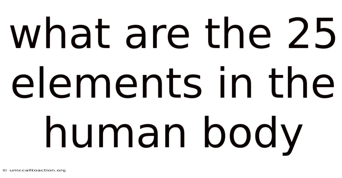 What Are The 25 Elements In The Human Body