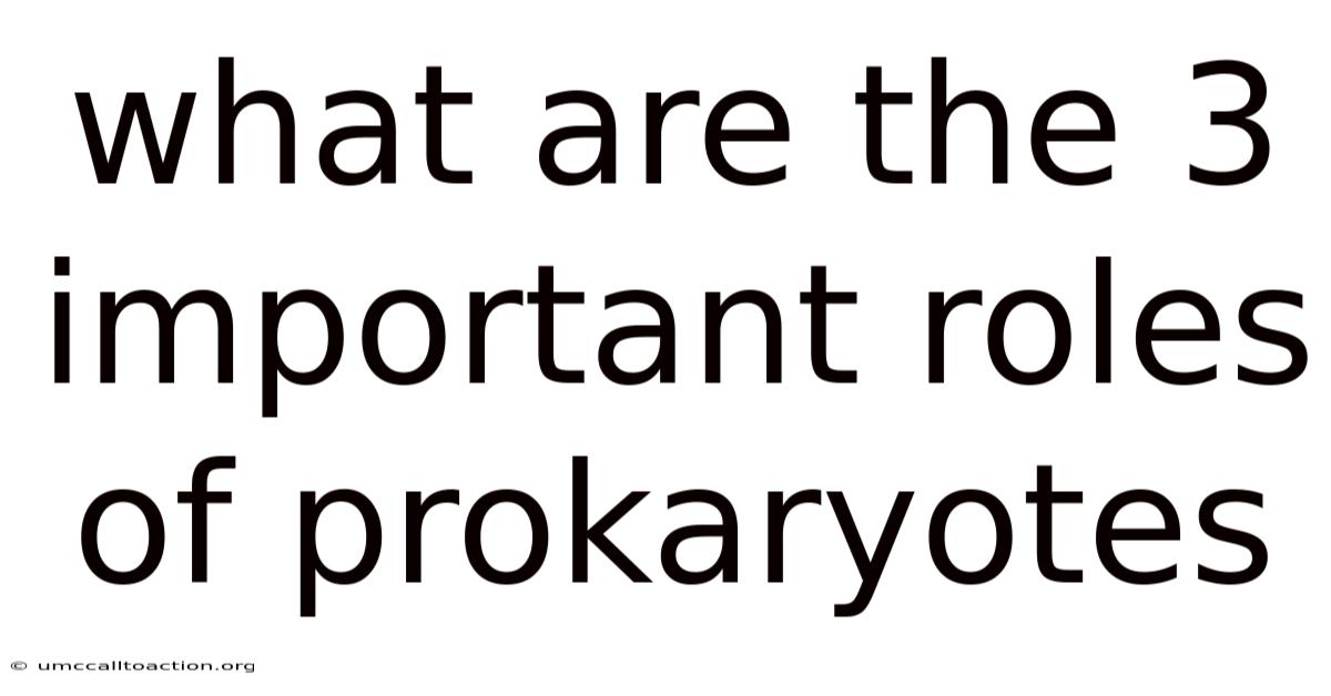 What Are The 3 Important Roles Of Prokaryotes