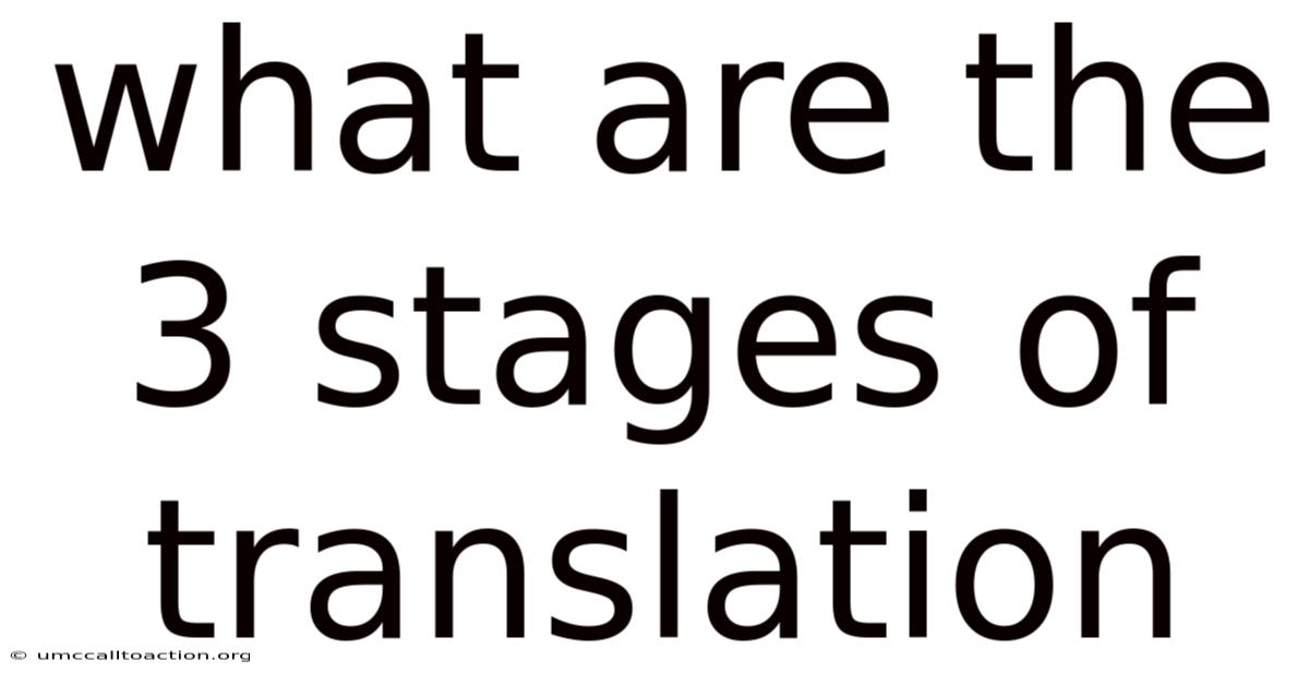 What Are The 3 Stages Of Translation