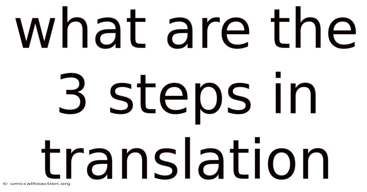 What Are The 3 Steps In Translation