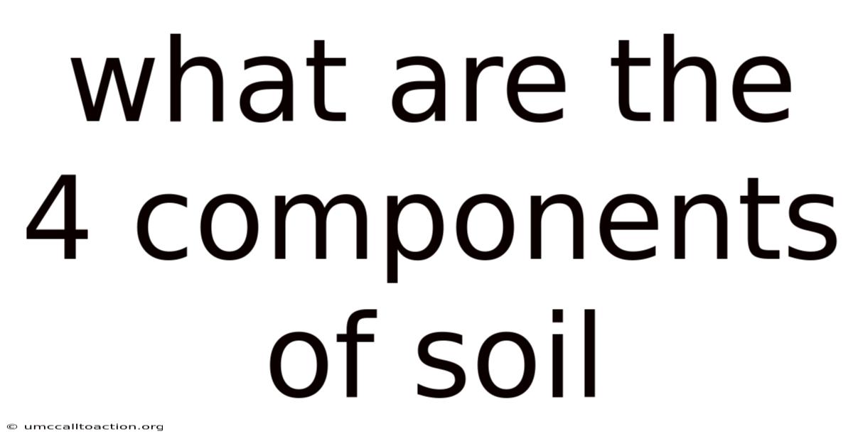 What Are The 4 Components Of Soil