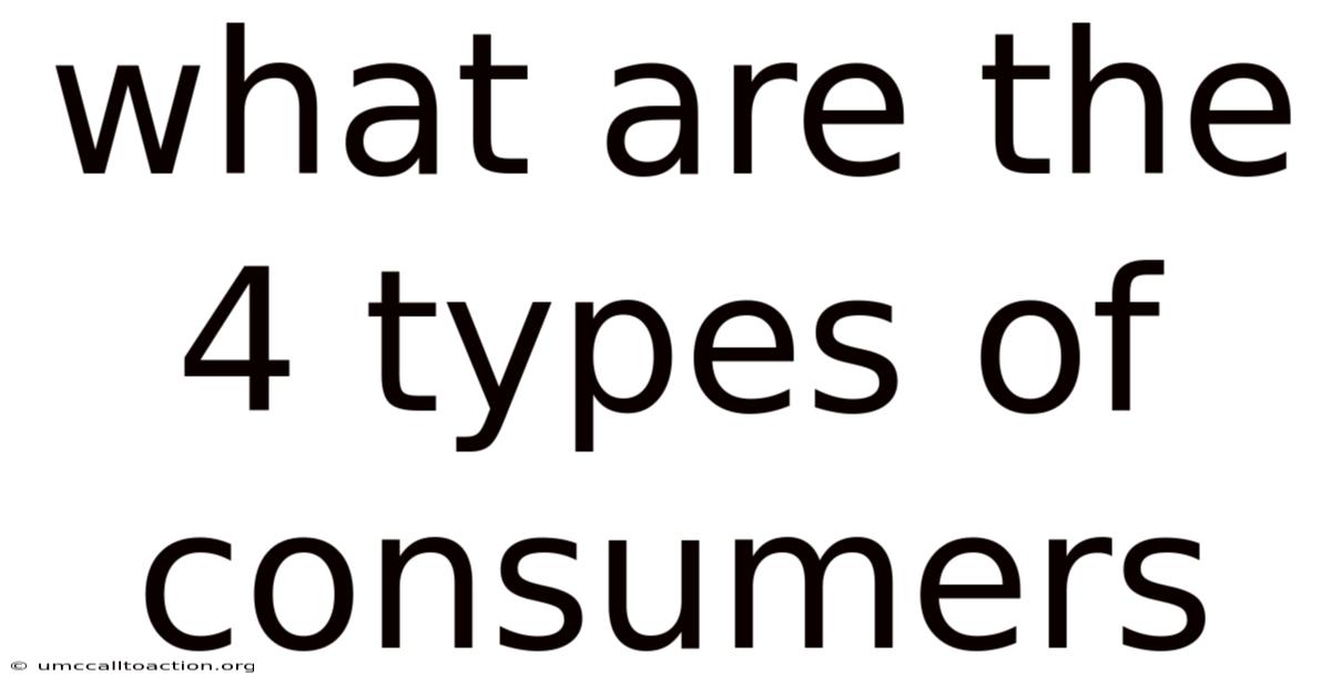 What Are The 4 Types Of Consumers