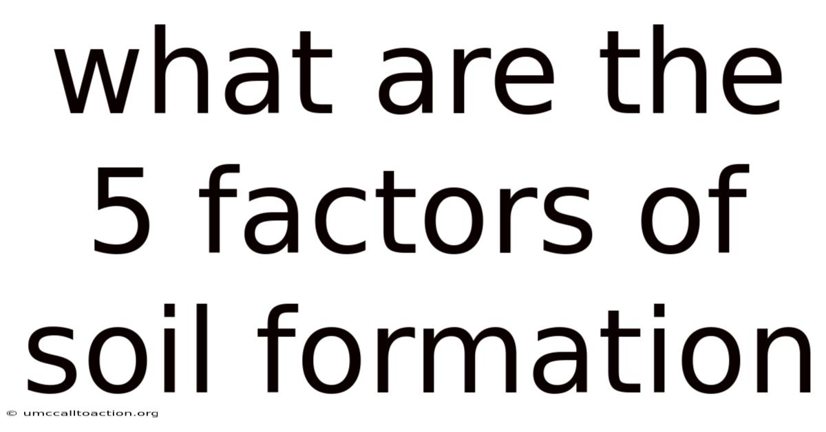 What Are The 5 Factors Of Soil Formation