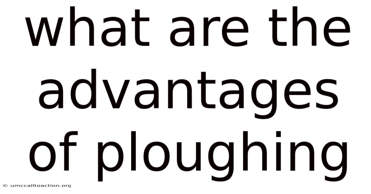 What Are The Advantages Of Ploughing