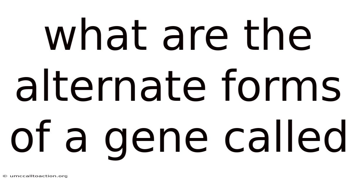 What Are The Alternate Forms Of A Gene Called
