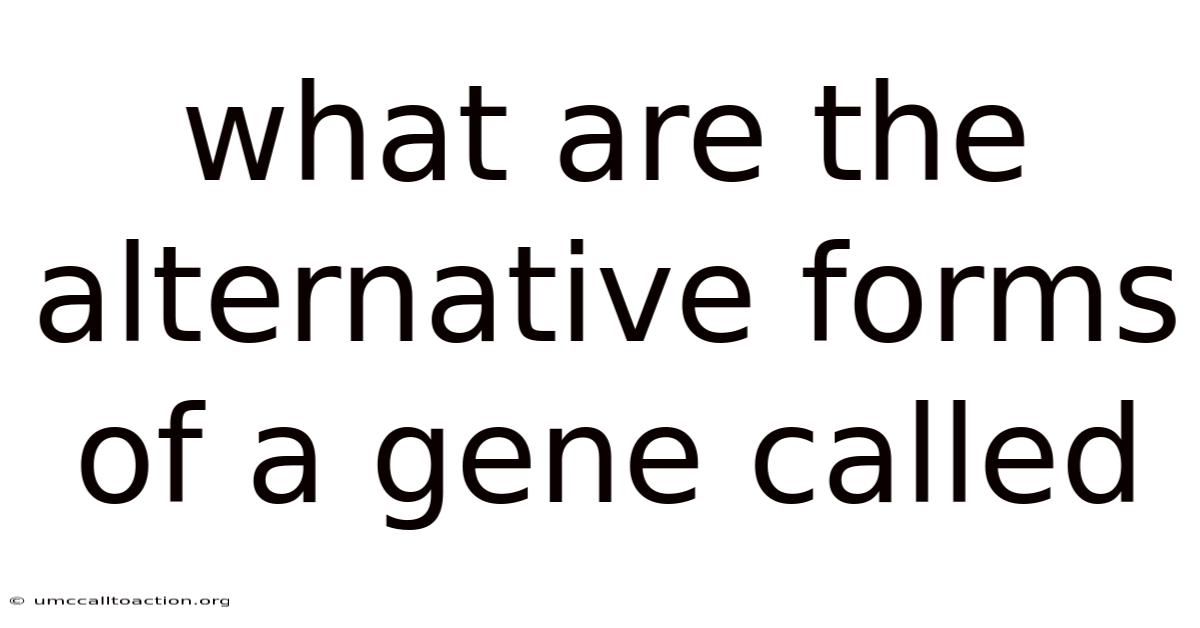 What Are The Alternative Forms Of A Gene Called