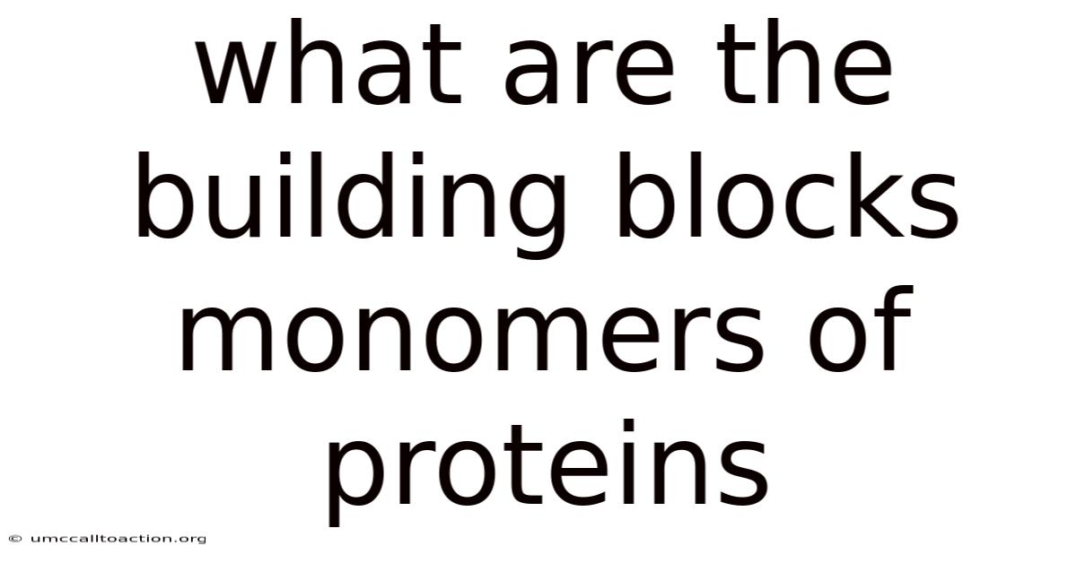What Are The Building Blocks Monomers Of Proteins