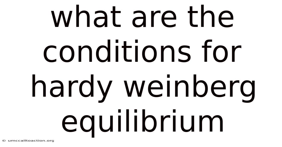 What Are The Conditions For Hardy Weinberg Equilibrium